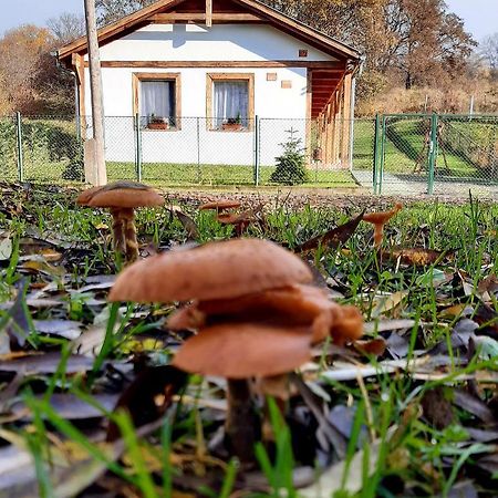Liget Vendégház Szokolya Exterior foto