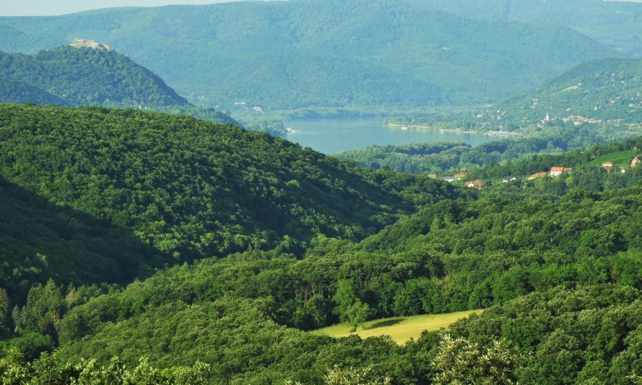 Liget Vendégház Szokolya Exterior foto