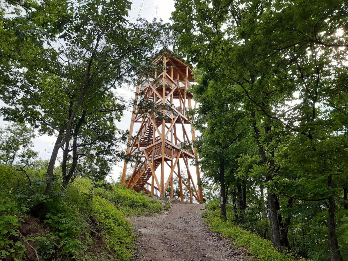 Liget Vendégház Szokolya Exterior foto