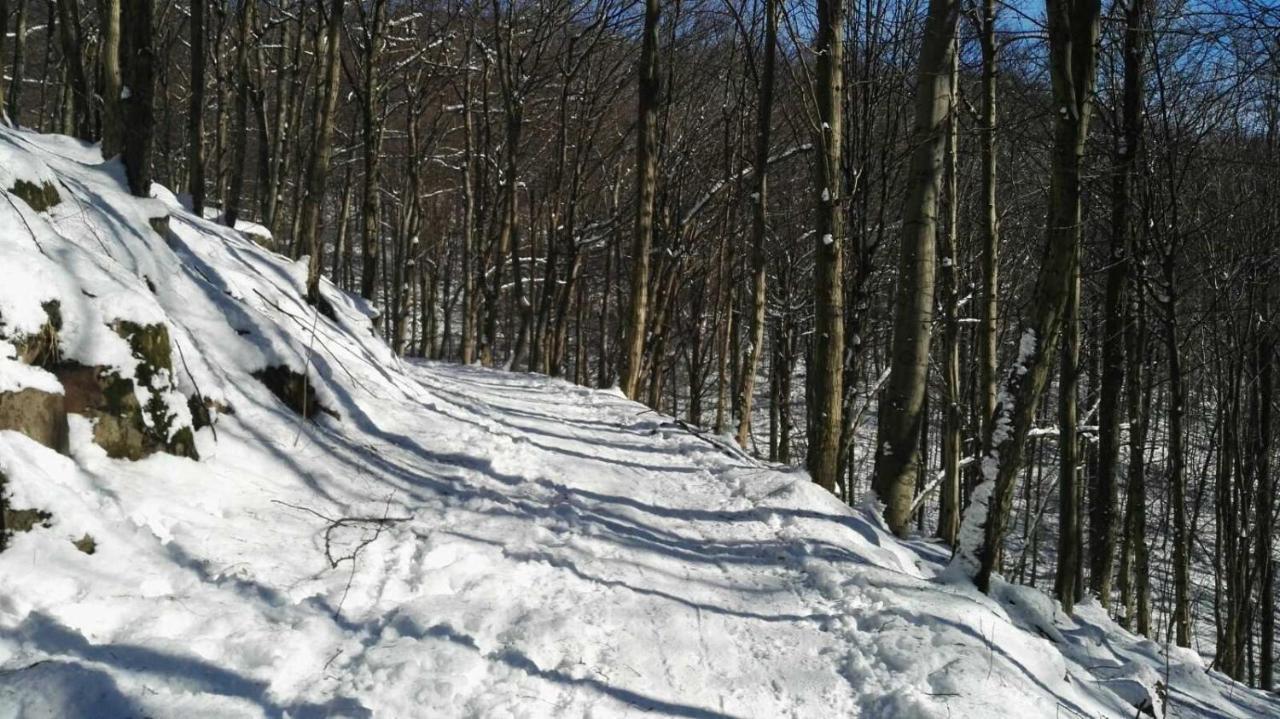 Liget Vendégház Szokolya Exterior foto