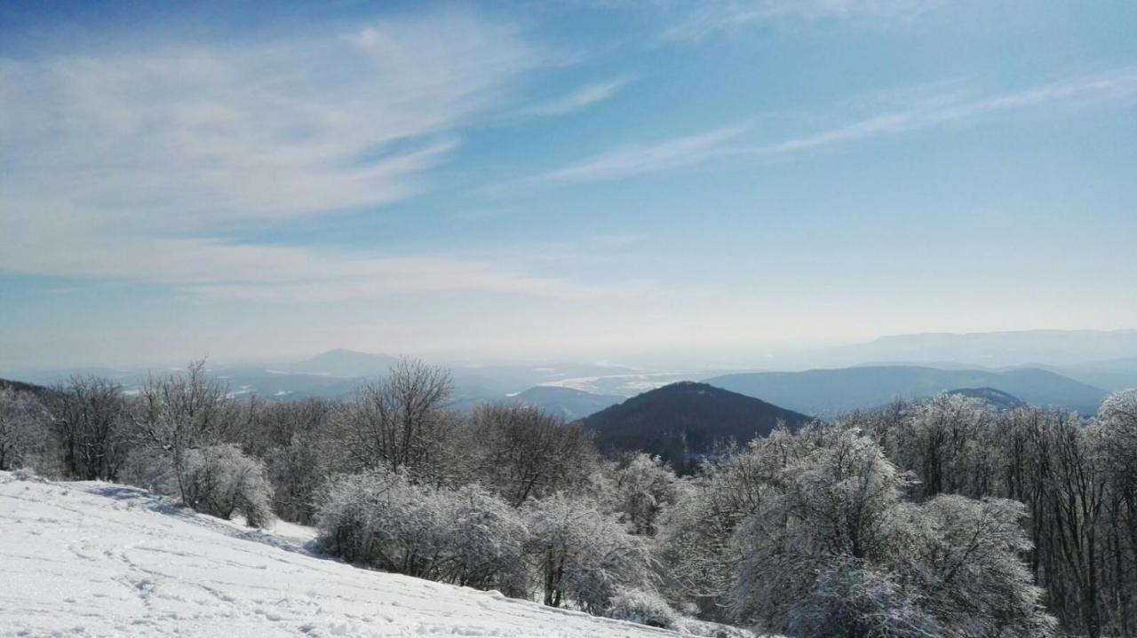 Liget Vendégház Szokolya Exterior foto