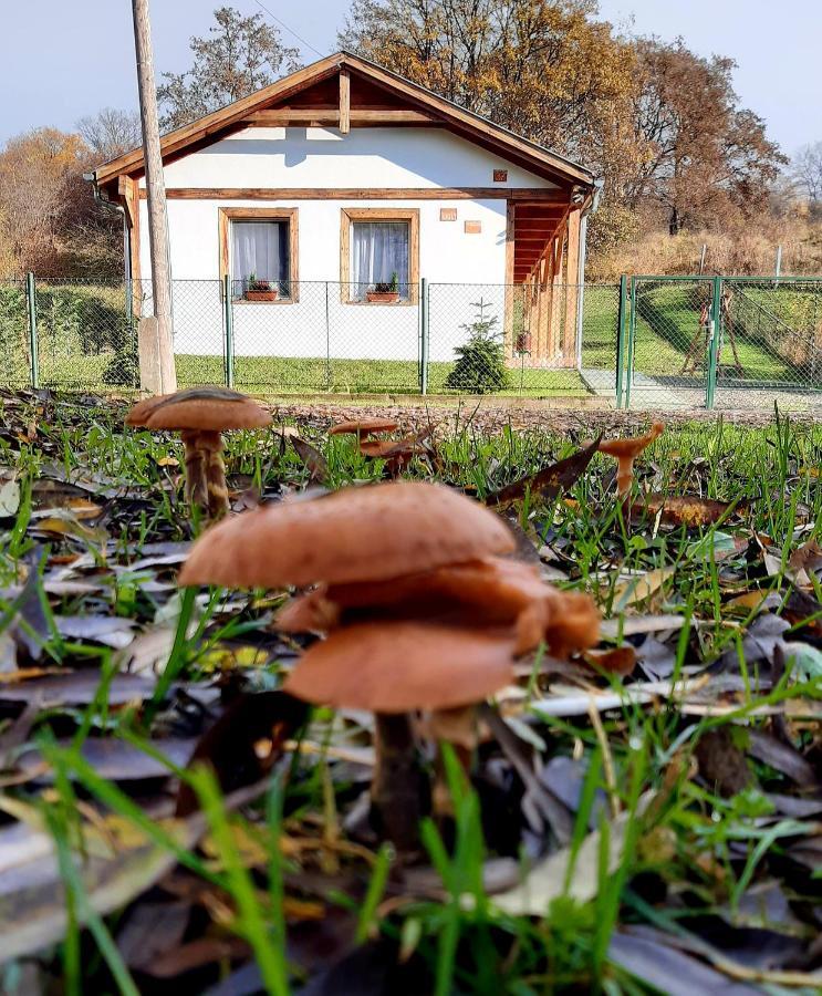 Liget Vendégház Szokolya Exterior foto