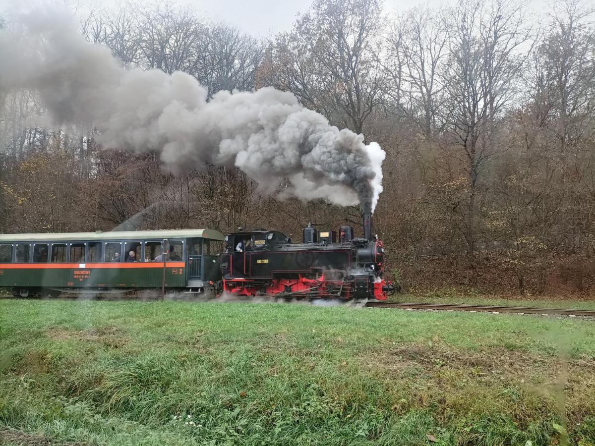 Liget Vendégház Szokolya Exterior foto